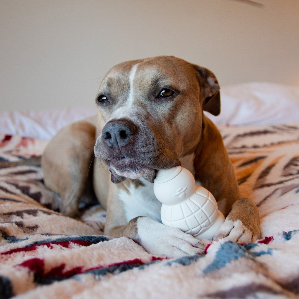 Sam the SnowmanTM Super Chewer Durable Gnaw Dog Toy