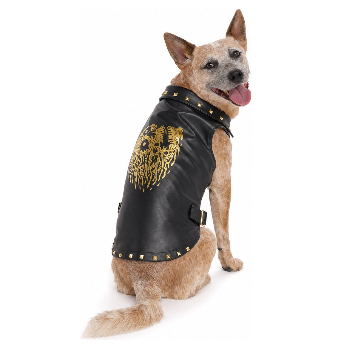 Vest in Peace Dog Vest