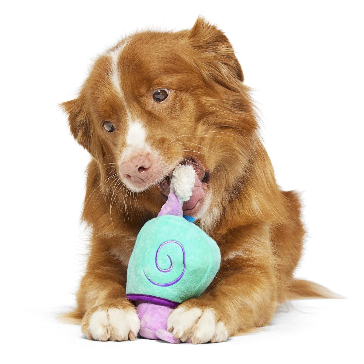 Snobert the Snabbit Plush Multi-Part Dog Toy
