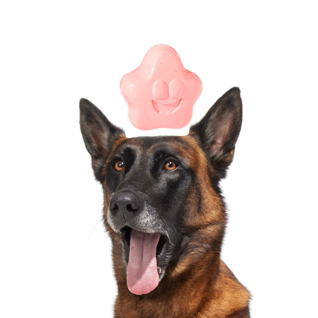 Goofy Goober Patrick Super Chewer Durable Fetch Dog Toy
