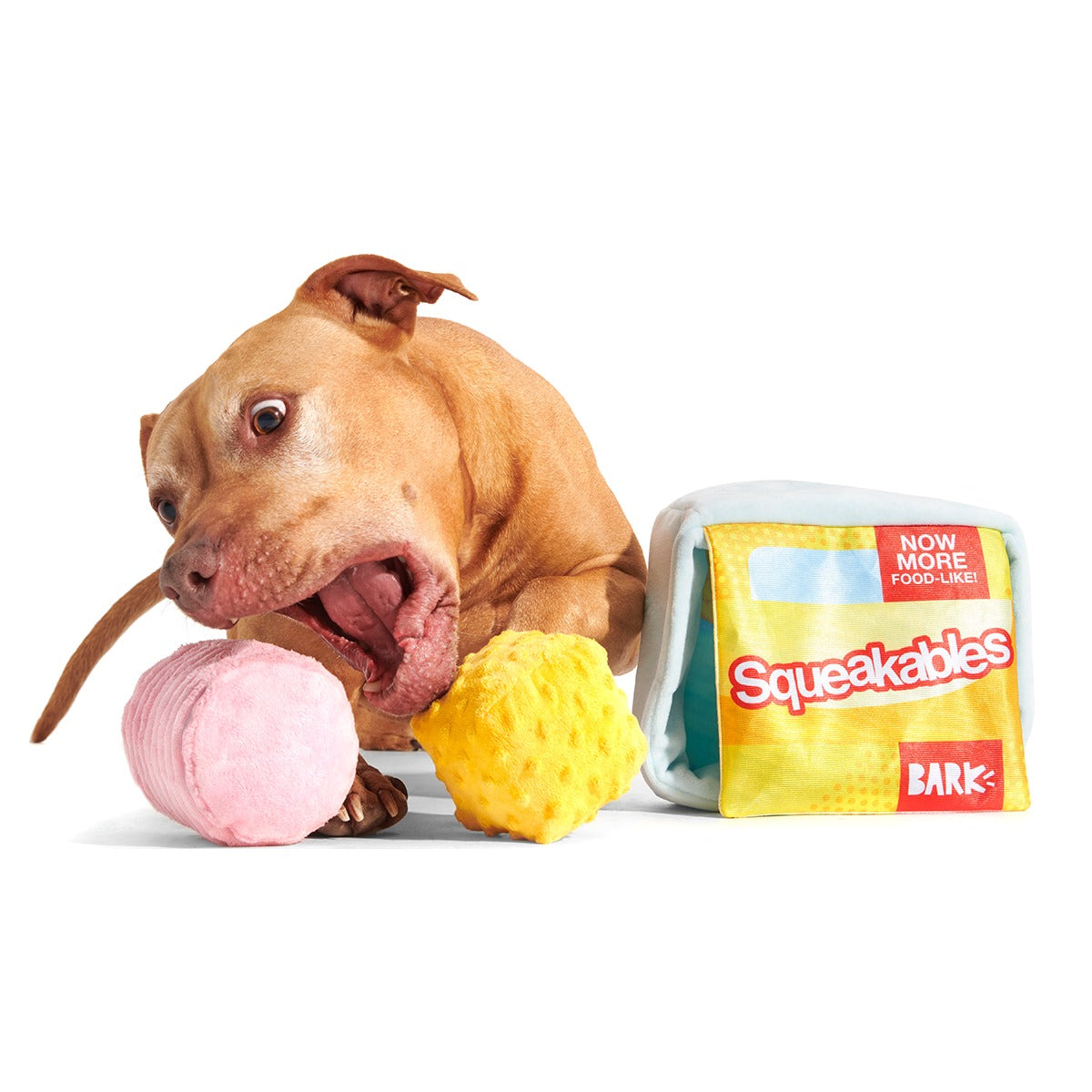 Squeakables Plush Multi-Part + Enrichment Dog Toy