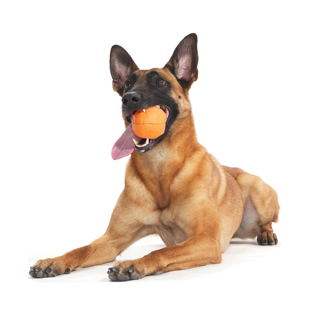 Orange Crush Super Chewer Durable 2-in-1 + Fetch Dog Toy