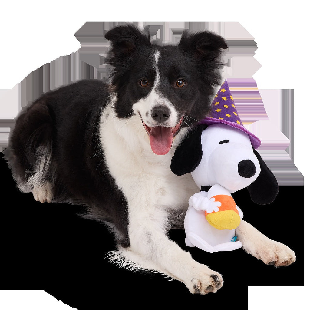 Trick or Squeak Snoopy Plush Extra-Large + Tug Dog Toy