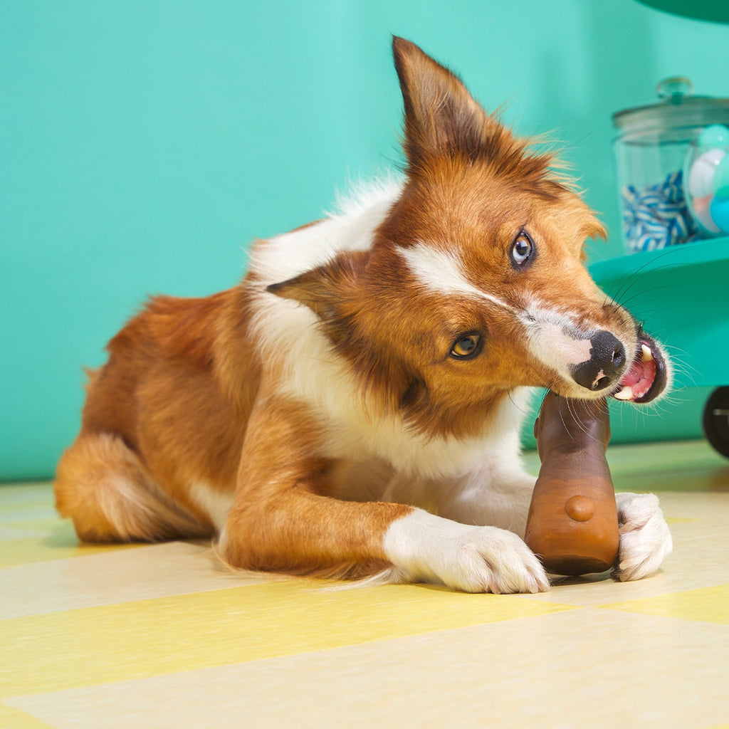 Yummy Bunny Super Chewer Durable Gnaw Dog Toy