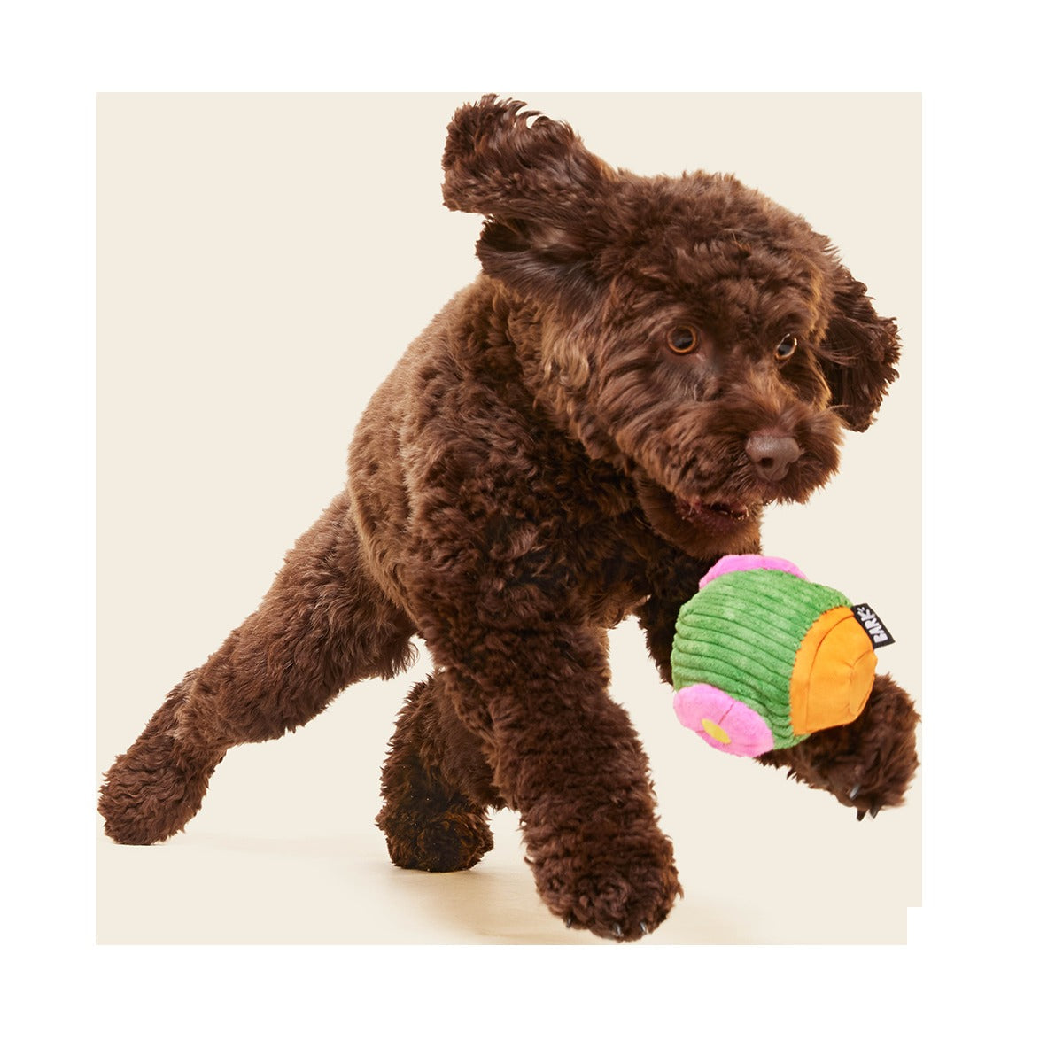 Snactus Super Chewer Durable 2-in-1 + Enrichment Dog Toy