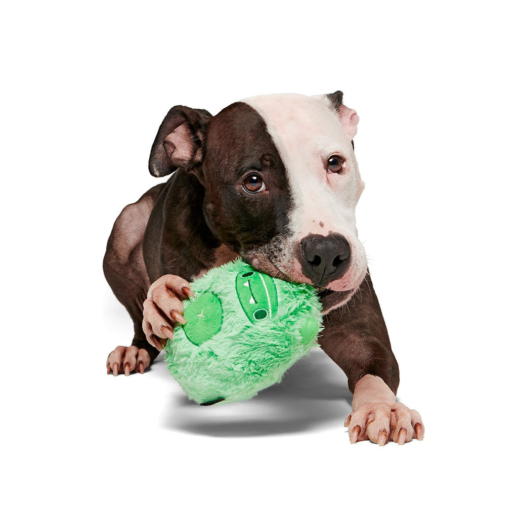 Jolly Green Ice Beast Super Chewer Durable 2-in-1 Dog Toy