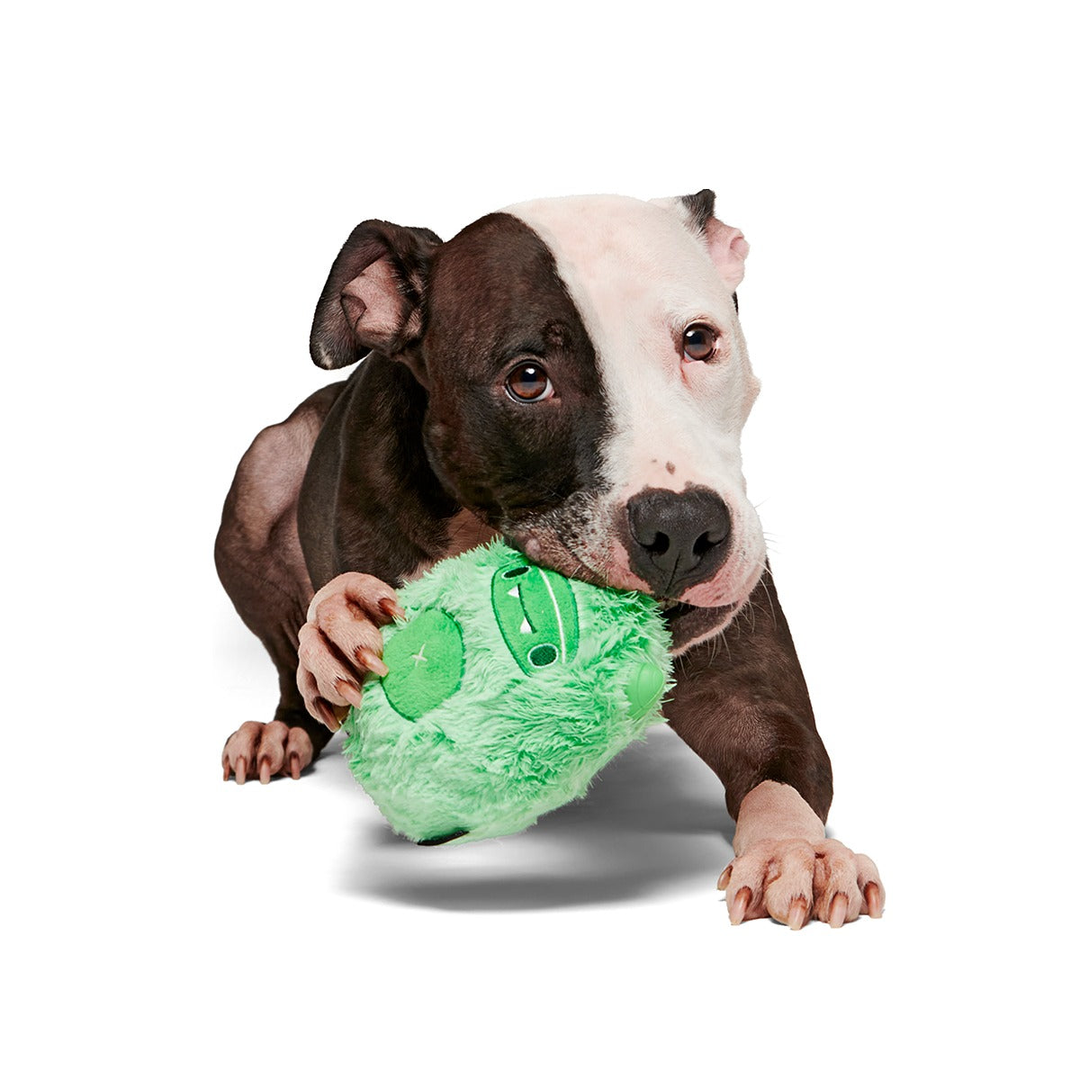 Jolly Green Ice Beast Super Chewer Durable 2-in-1 Dog Toy