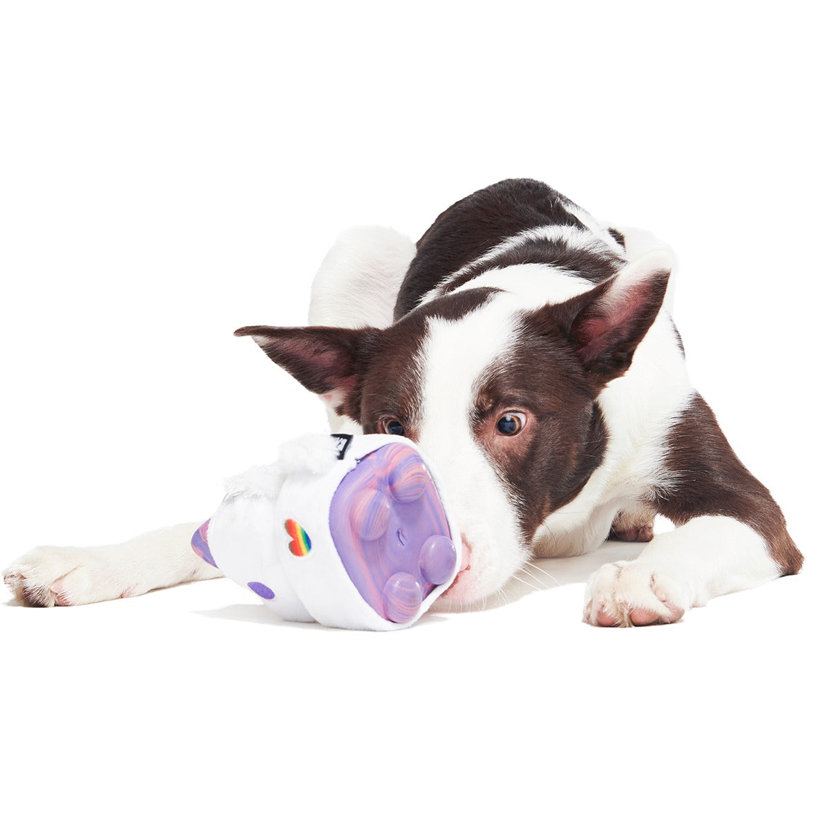 Disco Giddy Super Chewer Durable 2-in-1 + Enrichment Dog Toy