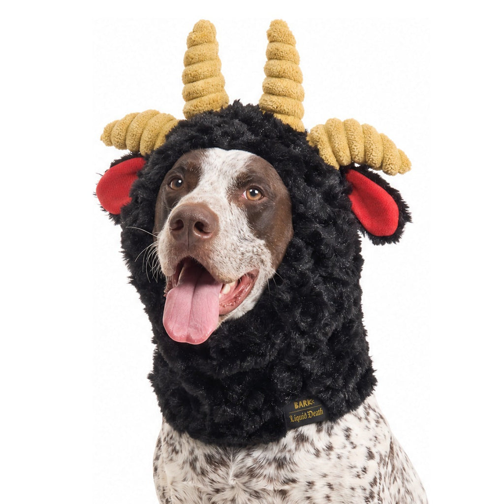Ram Chop Snood Dog Hood