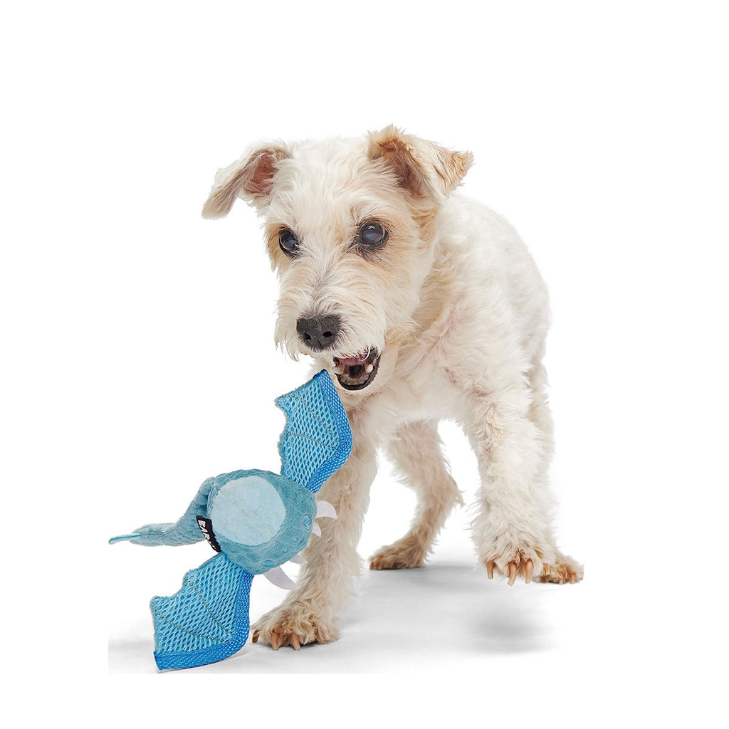 Brrrtha The Dragon Super Chewer Durable 2-in-1 + Tug + Fetch Dog Toy