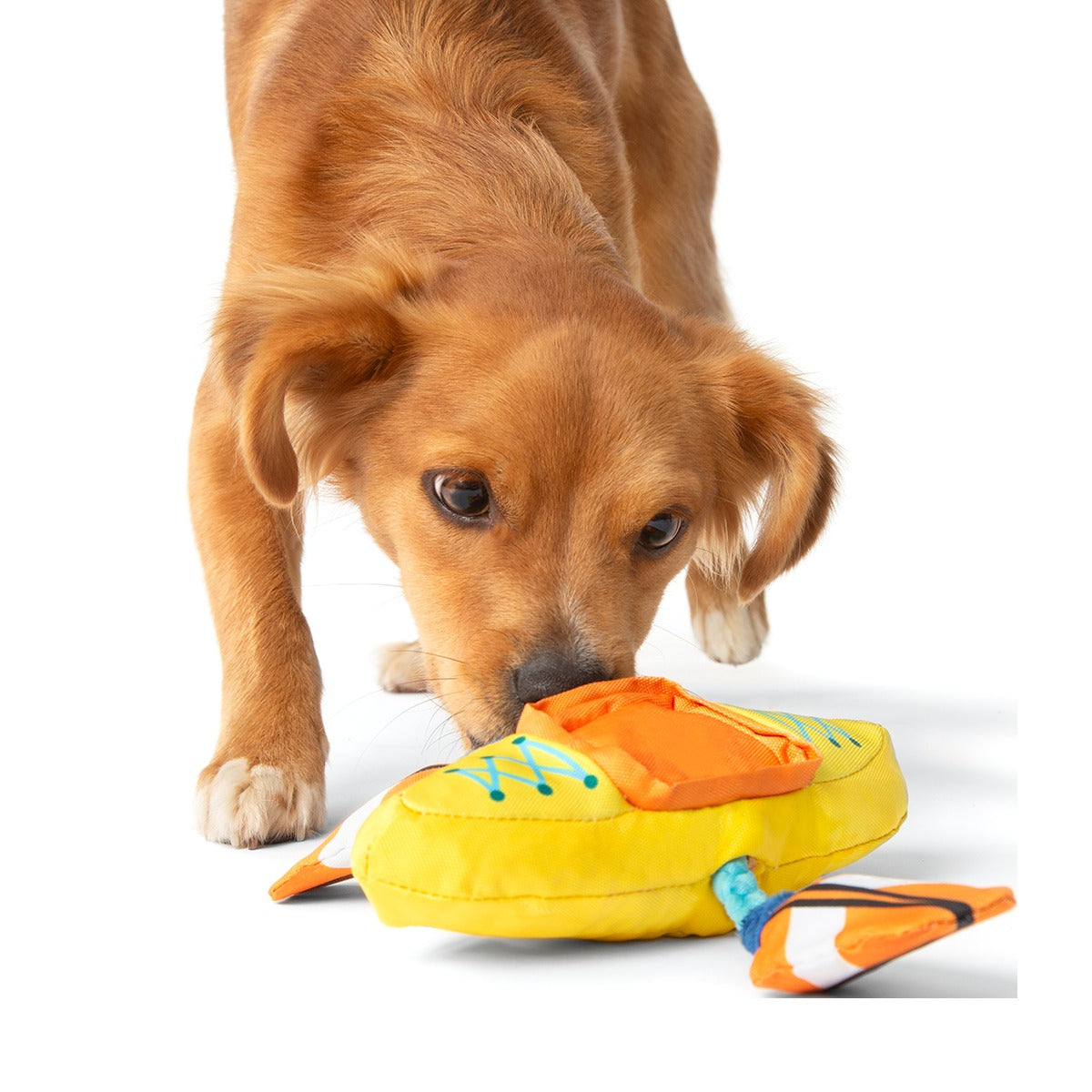 Off Track Kayak Plush Tug Dog Toy