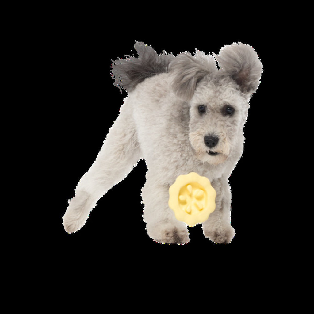 Plump Pumpkin Pie Durable Super Chewer Enrichment Dog Toy