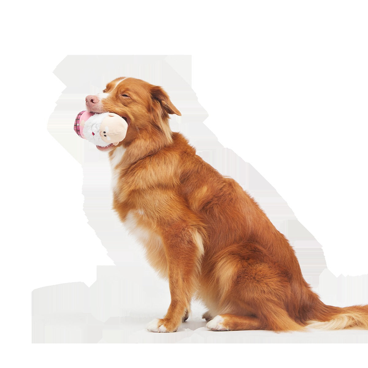 Ol' Kris KringleTM Plush Multi-Part + Enrichment Dog Toy
