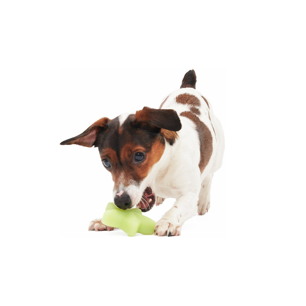Shooting Starf Super Chewer Durable Gnaw Dog Toy