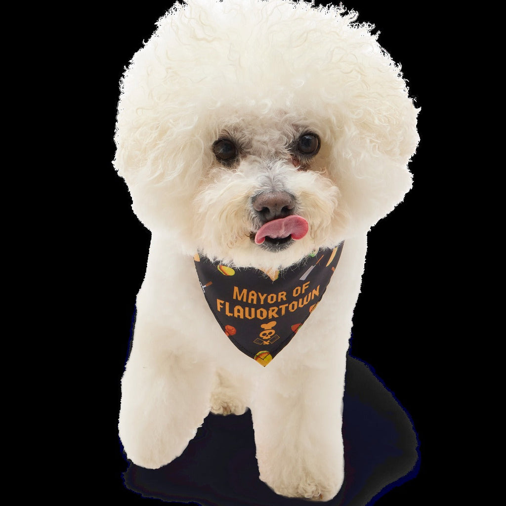 FlavortownTM Dog Bandana