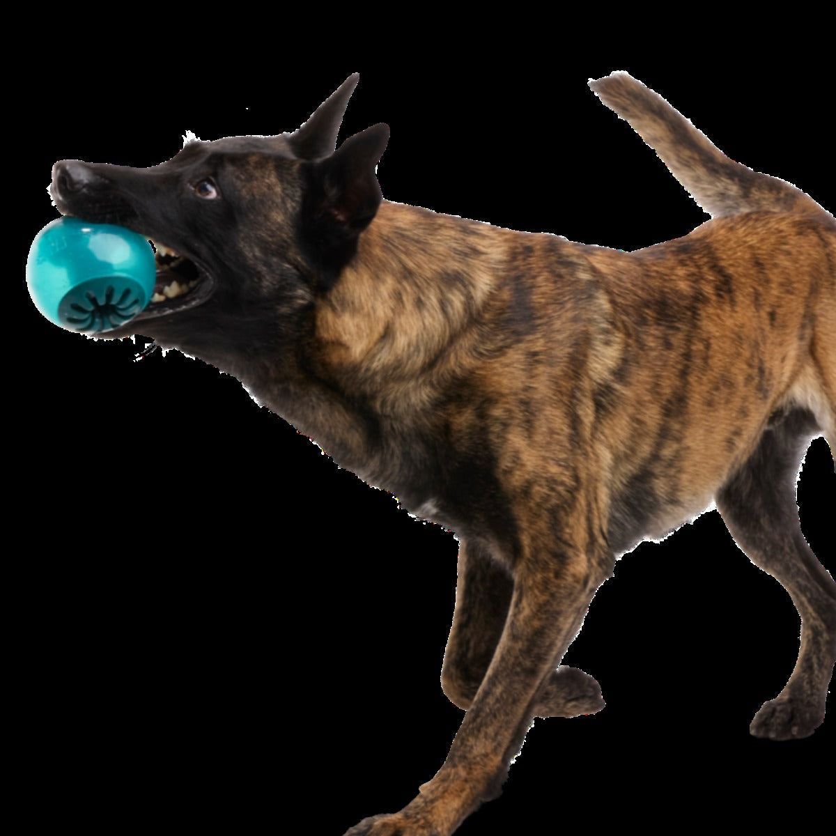 Teal Vortex Super Chewer Durable Enrichment + Fetch Dog Toy
