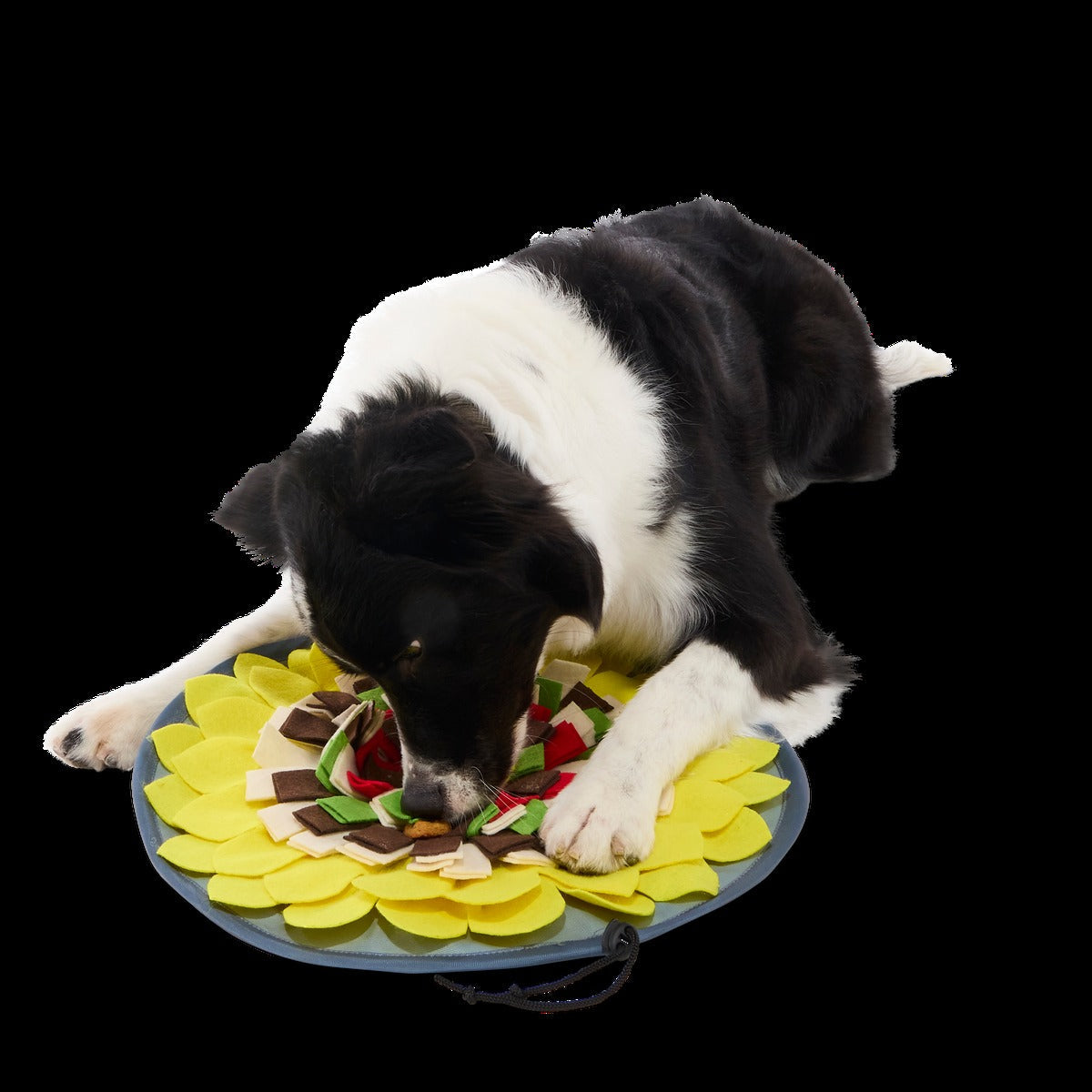 Nacho Dog's Snuffle Mat Plush Enrichment Dog Toy