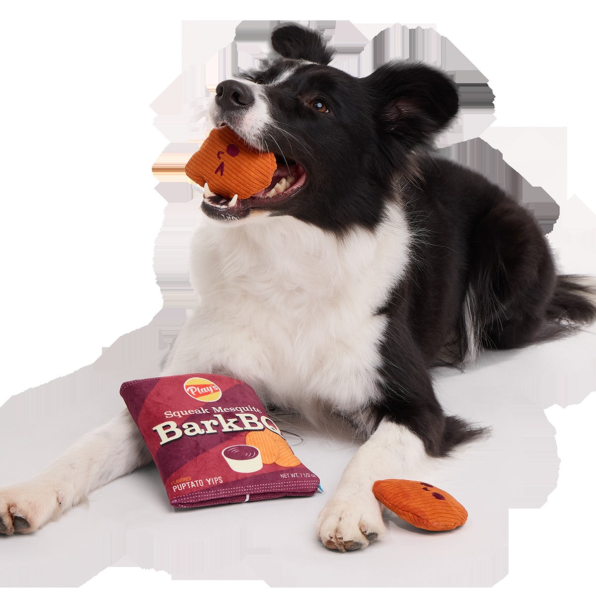 BarkBQ Chips Plush Multi-Part + Enrichment Dog Toy