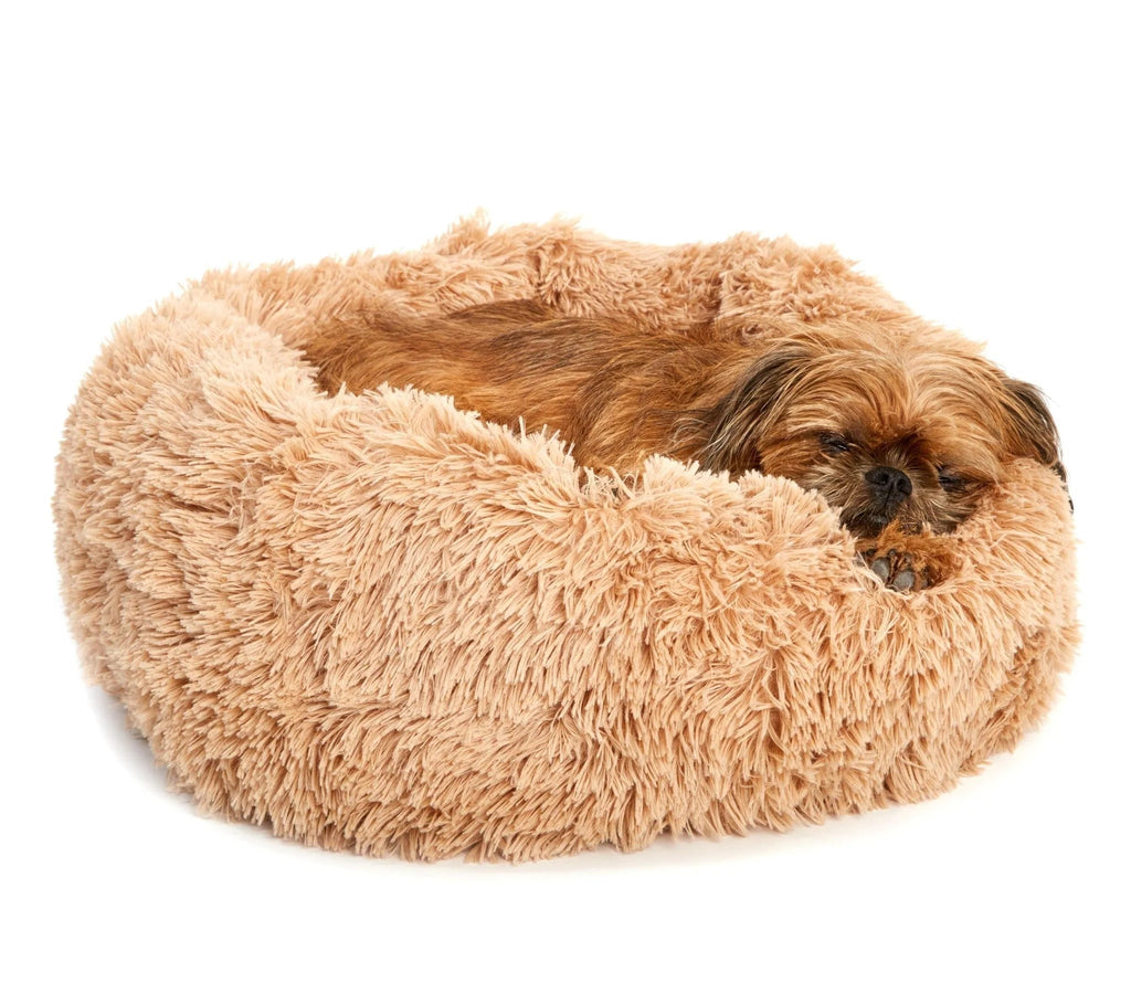 Cuddler Bed