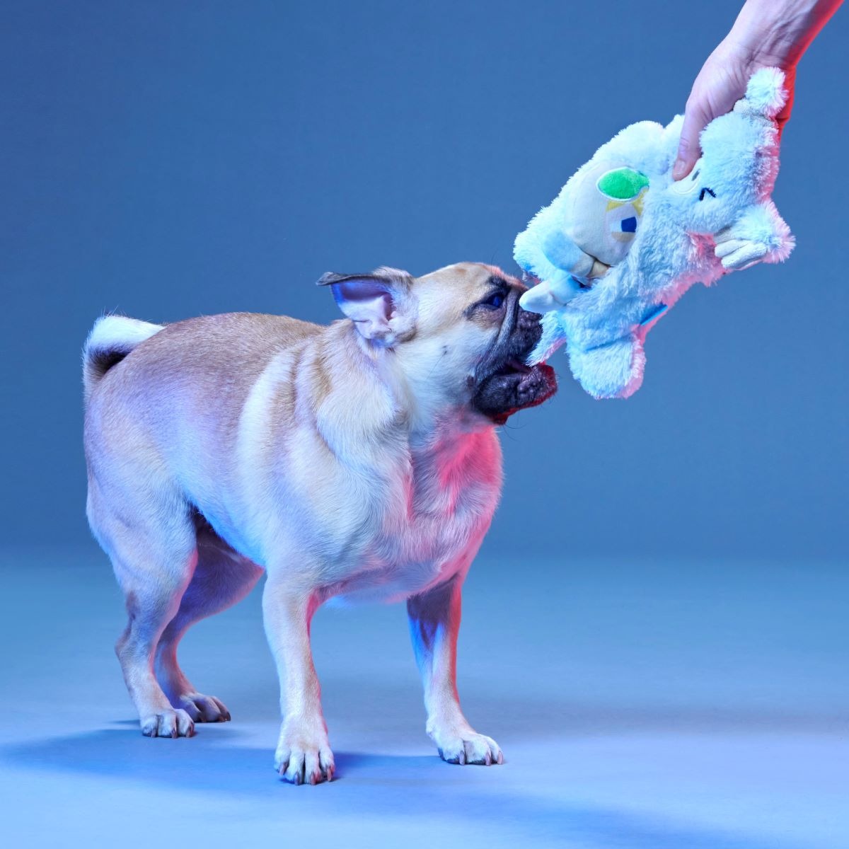 Lukewarm TauntaunTM Plush Multi-Part + Enrichment Dog Toy