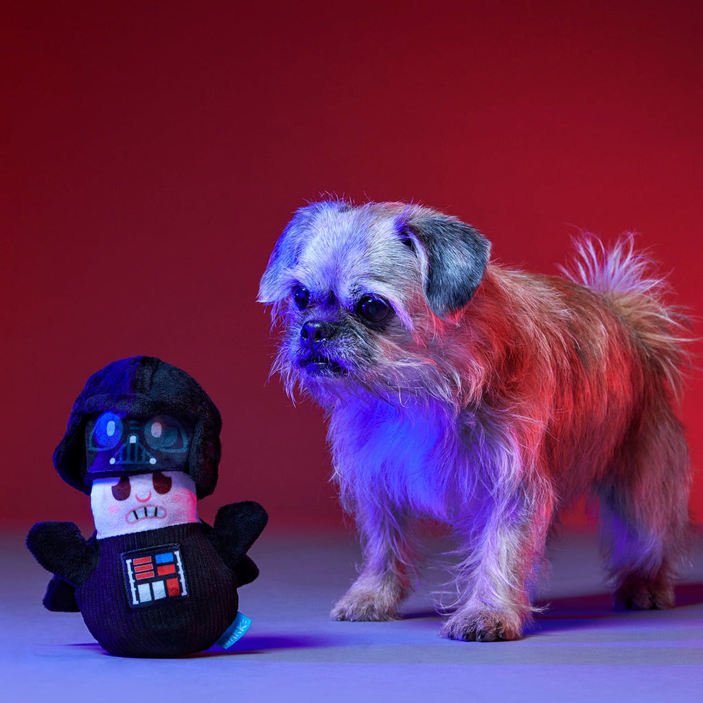 Star WarsTM BarkBox - One Month Gift Box
