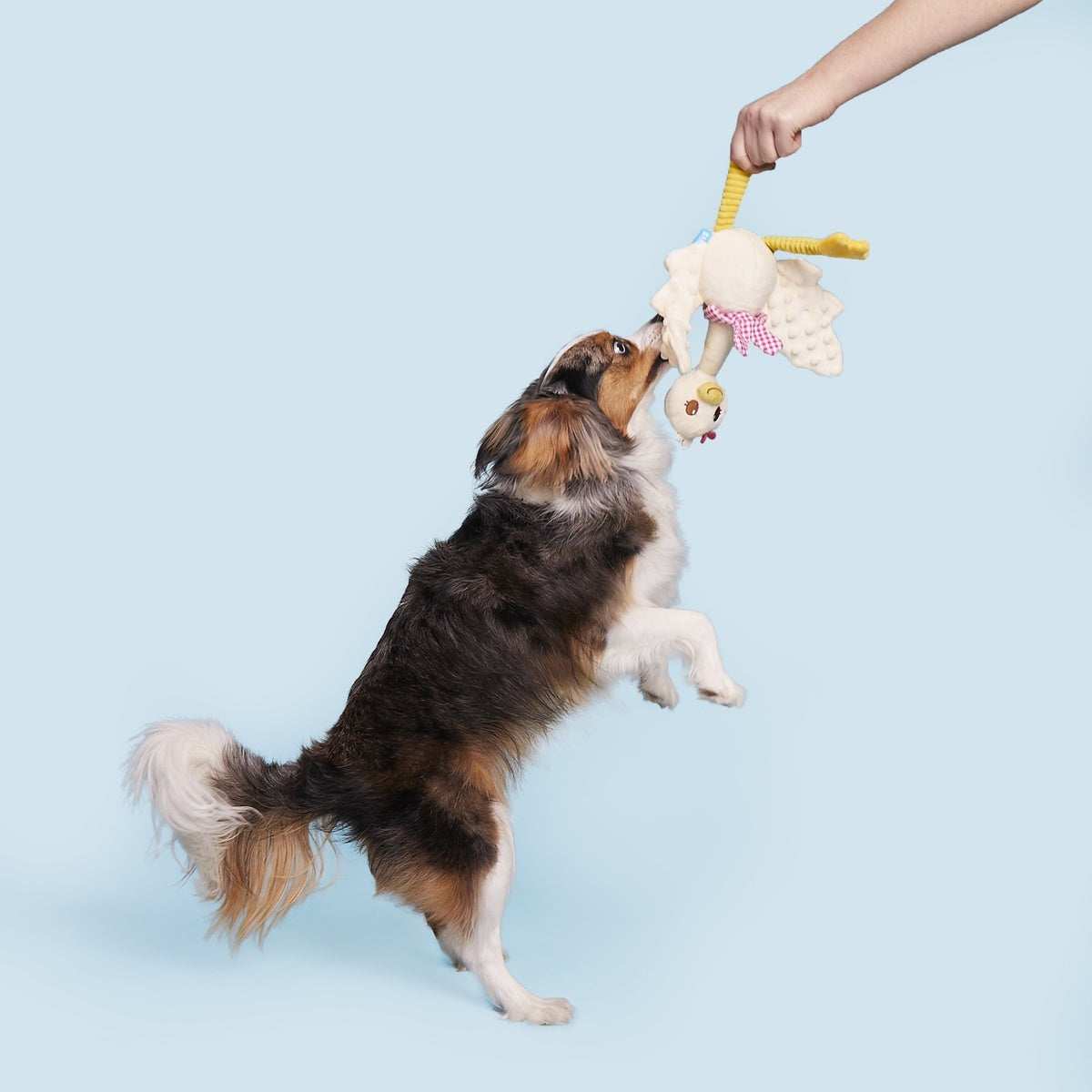 Gingham Goose Plush Extra-Large + Tug Dog Toy