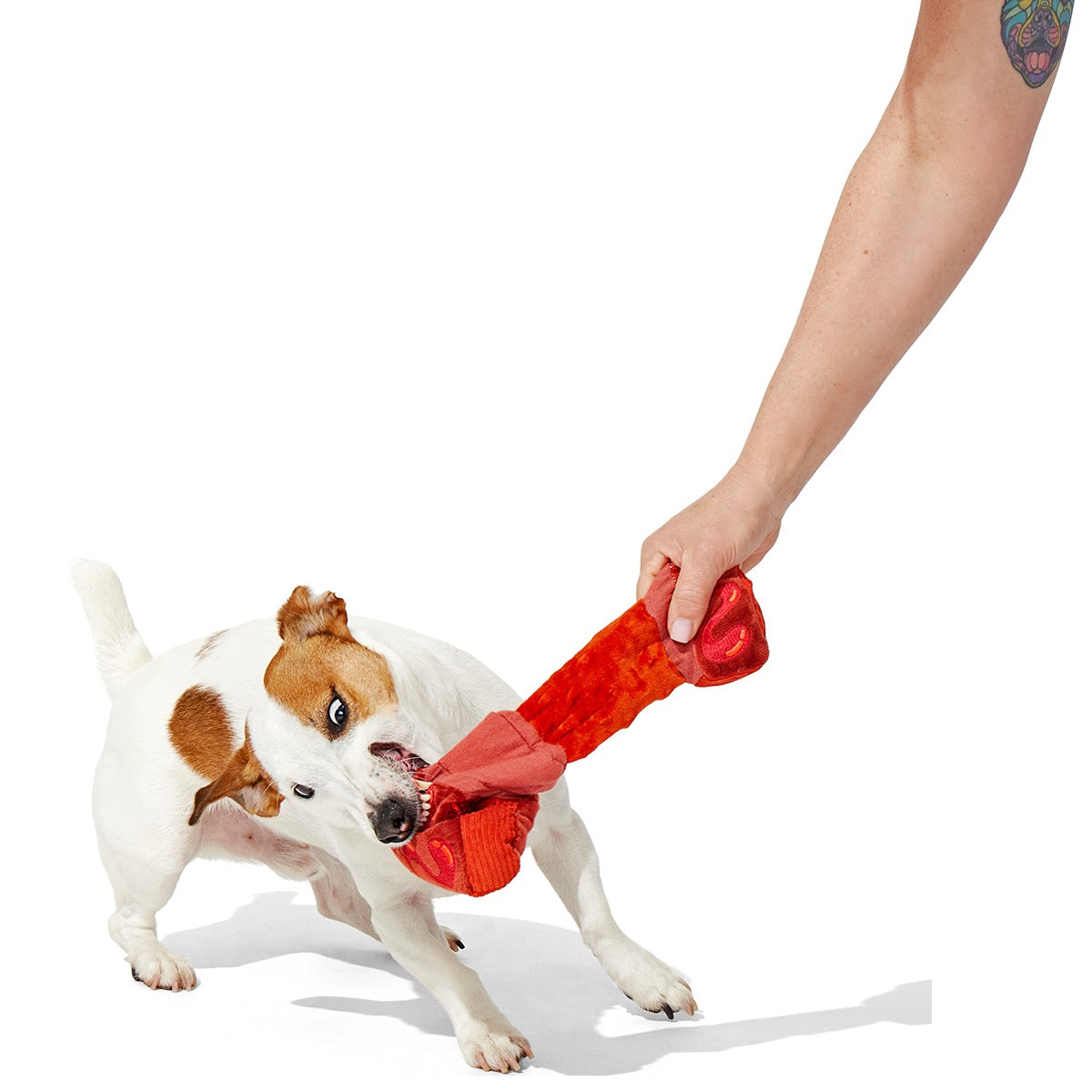 Baby Bark Ribs Plush Tug Dog Toy