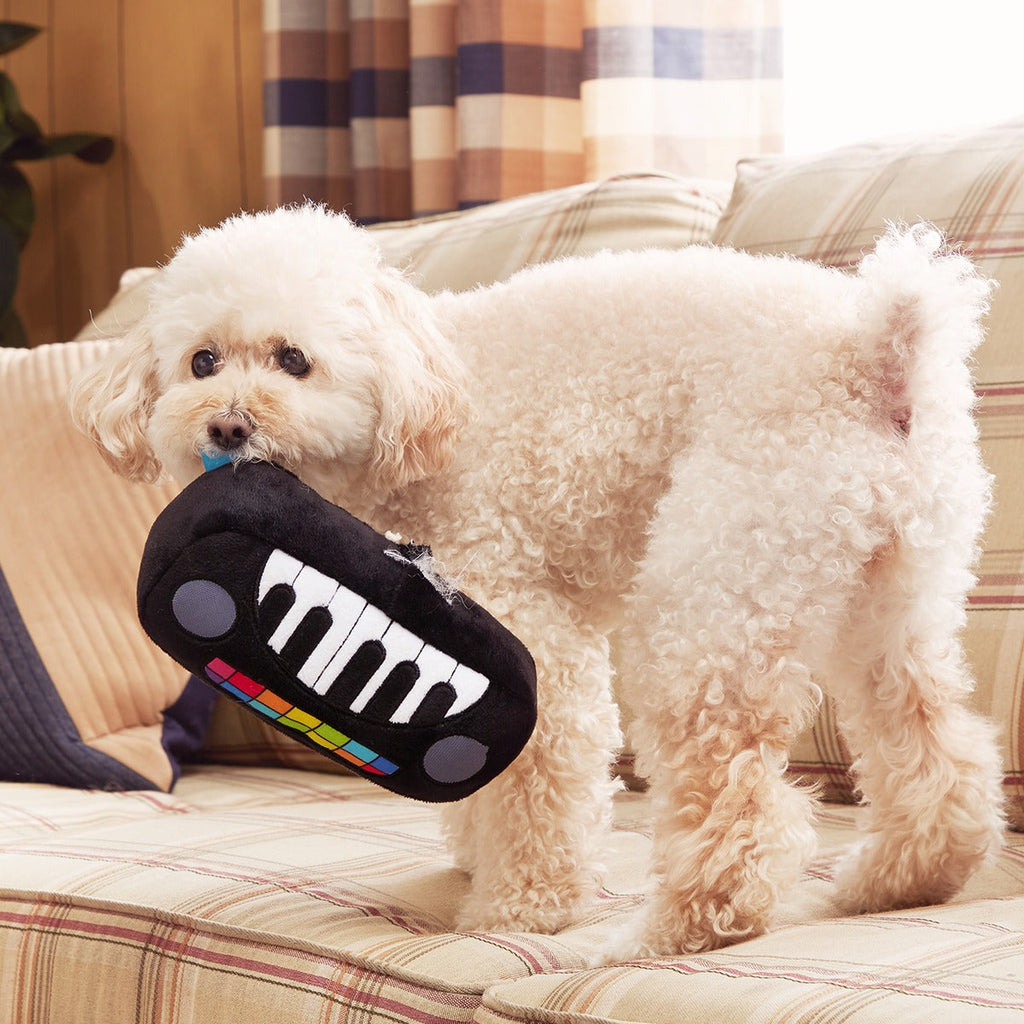 Squeaky Wonder Keyboard Plush Dog Toy