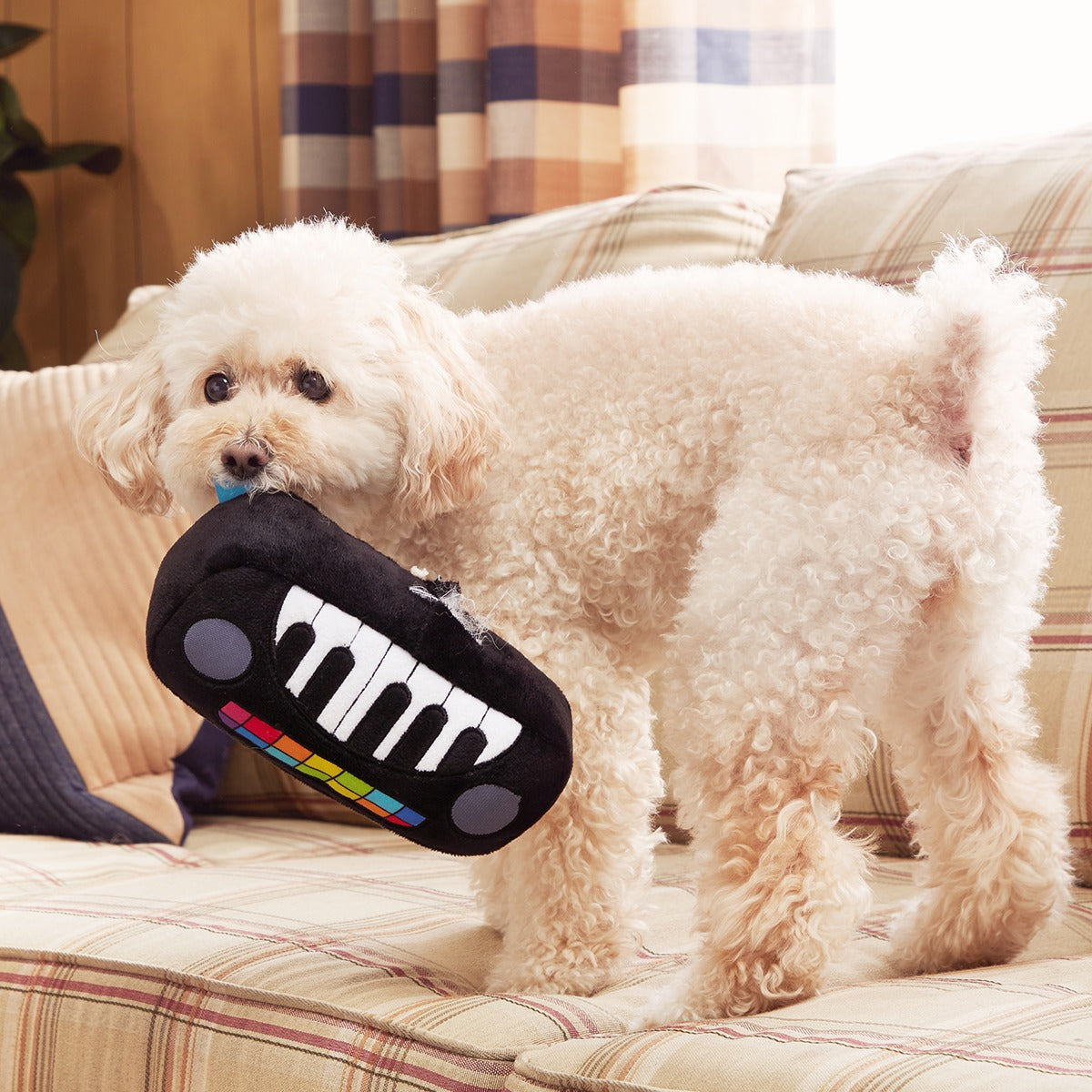Squeaky Wonder Keyboard Plush Dog Toy