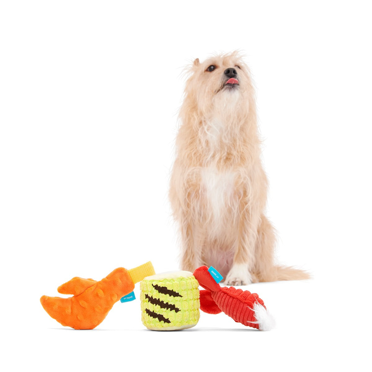 The Maine Event Plush Multi-Part Dog Toy