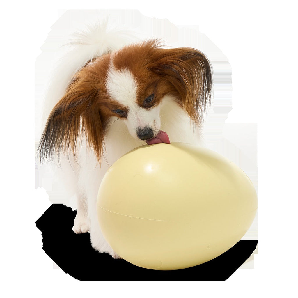 Dinosaur Egg Super Chewer Durable Extra-Large + Fetch Dog Toy