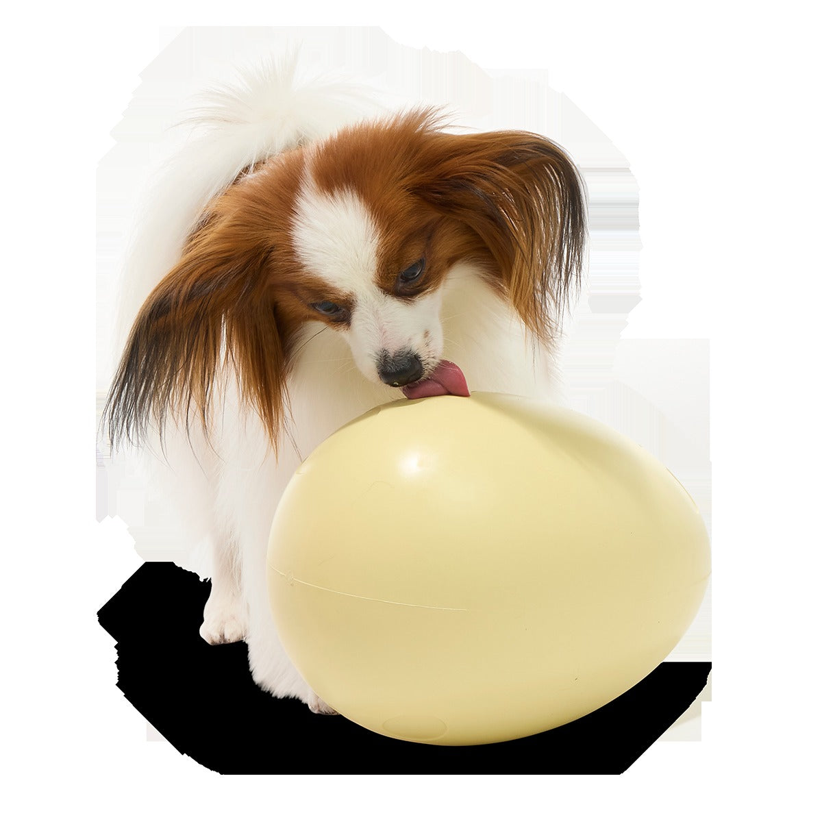 Dinosaur Egg Super Chewer Durable Extra-Large + Fetch Dog Toy