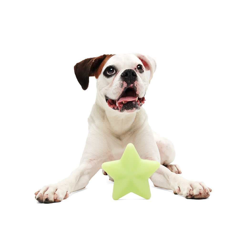 Shooting Starf Super Chewer Durable Gnaw Dog Toy