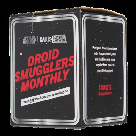 Star WarsTM Droid - IG-11TM