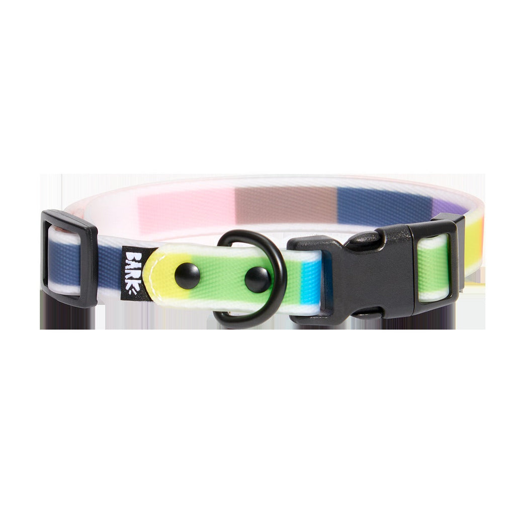 Pride Dog Walking Gear Bundle