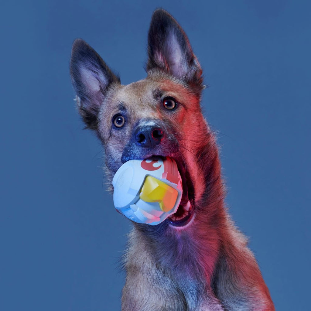 Fetch My Rebel Helmet Super Chewer Durable Fetch Dog Toy