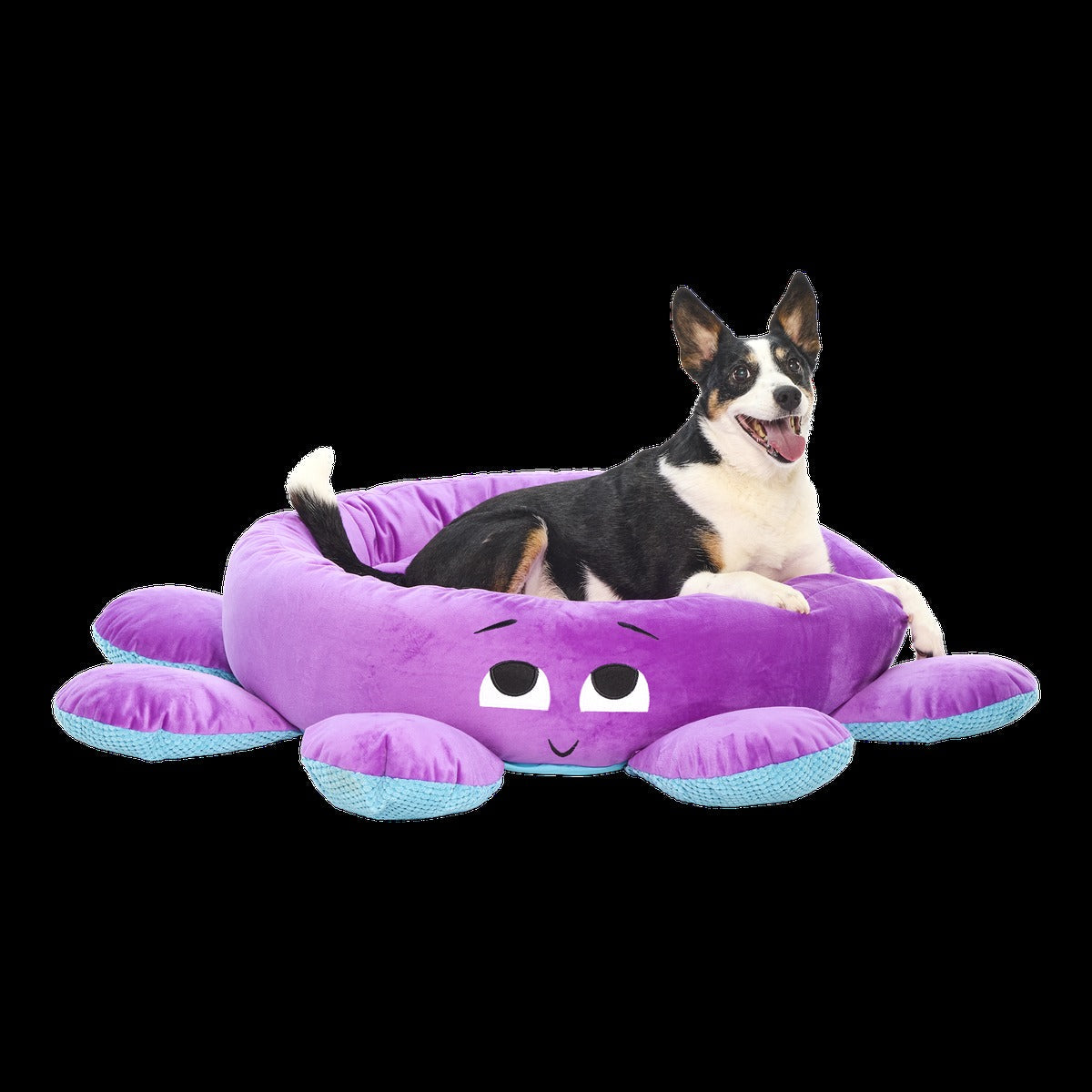 Ollie the Octopus Dog Bed