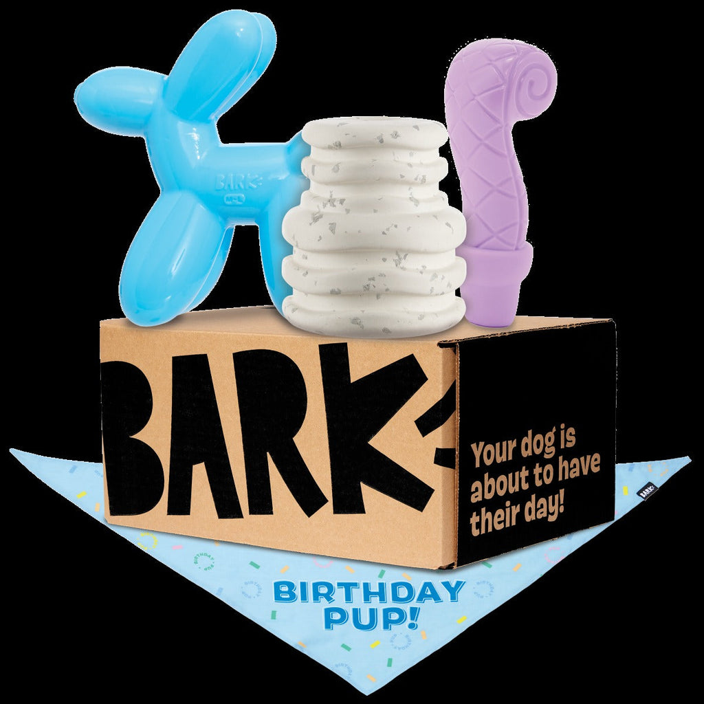 Birthday Super Chewer Box (Toy-Only) - One Month Gift Box