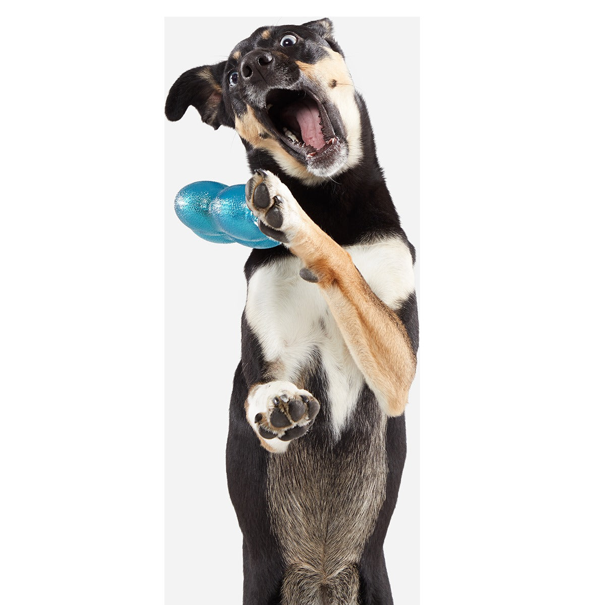 Treat Giver River Super Chewer Durable Enrichment Dog Toy