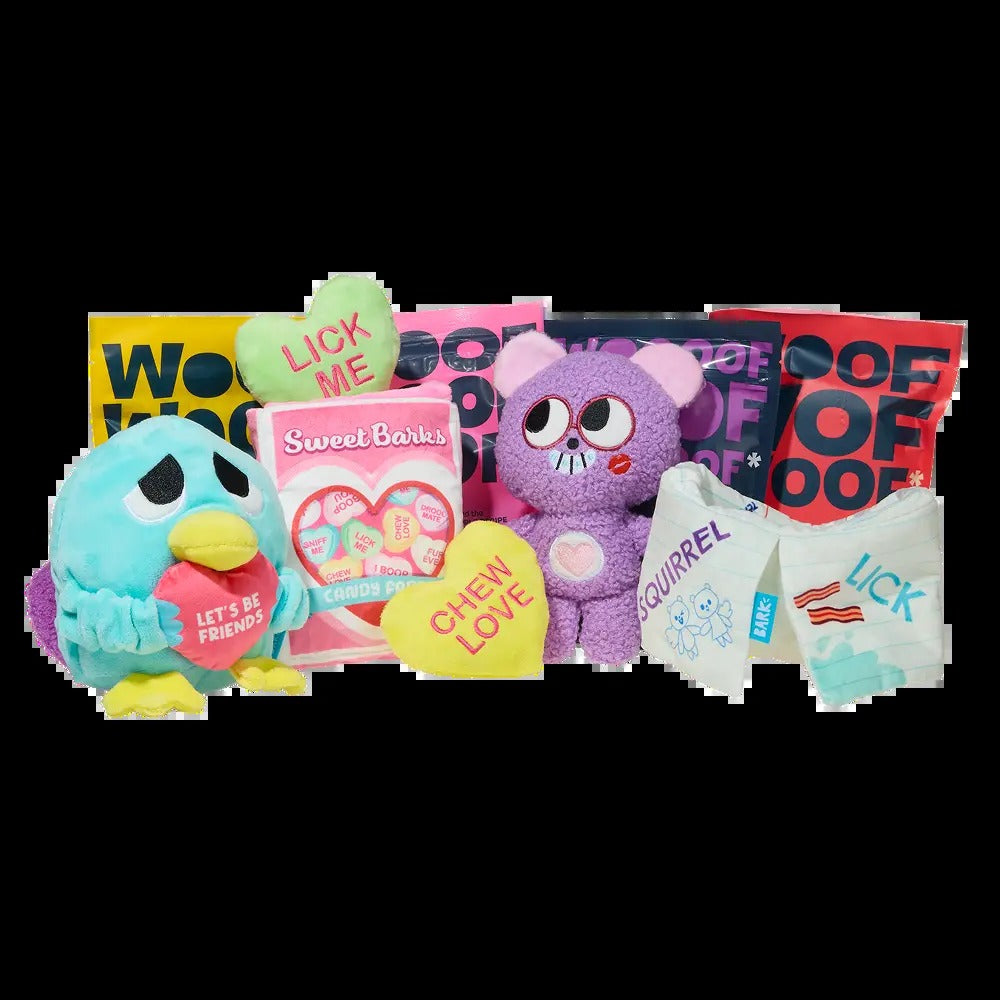 BARK 12 Month Subscription - Double Deluxe First Box