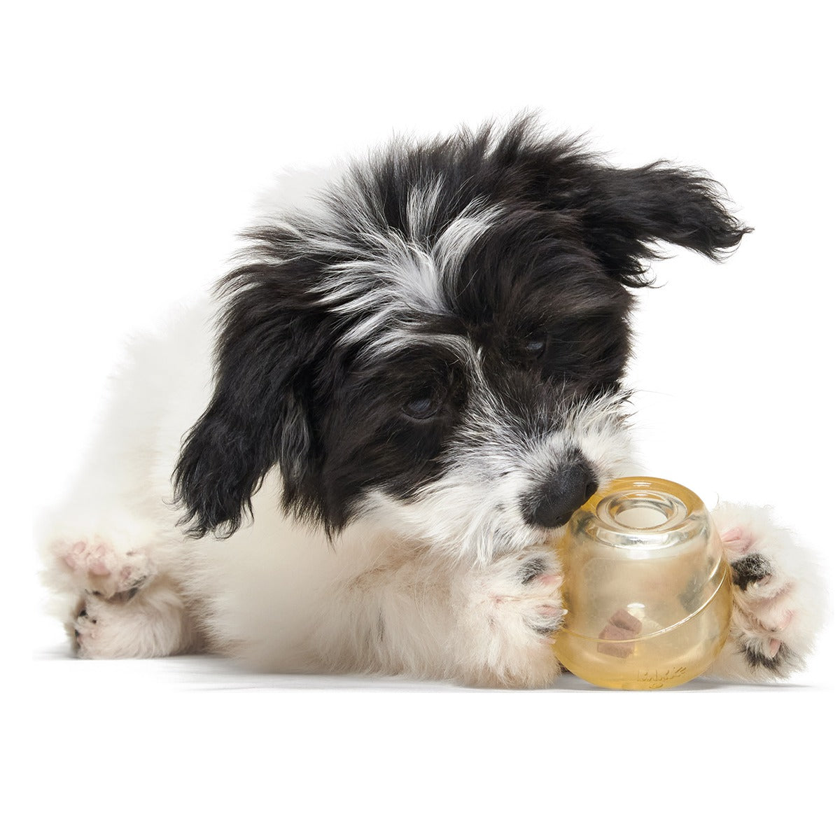Tipsy Toast Glass Super Chewer Durable Enrichment Dog Toy