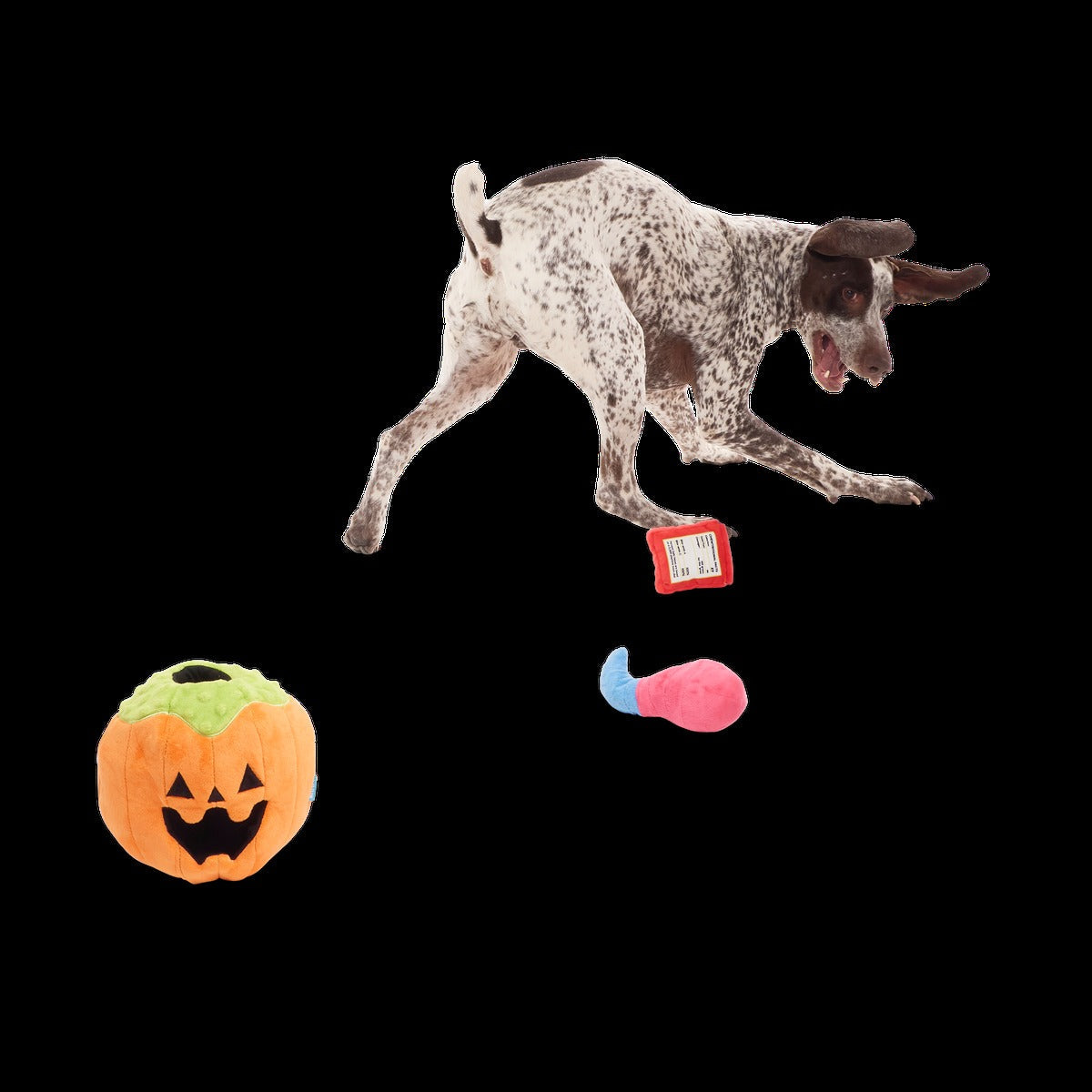 Howl-o-ween Haul Plush Extra-Large + Multi-Part + Enrichment Dog Toy