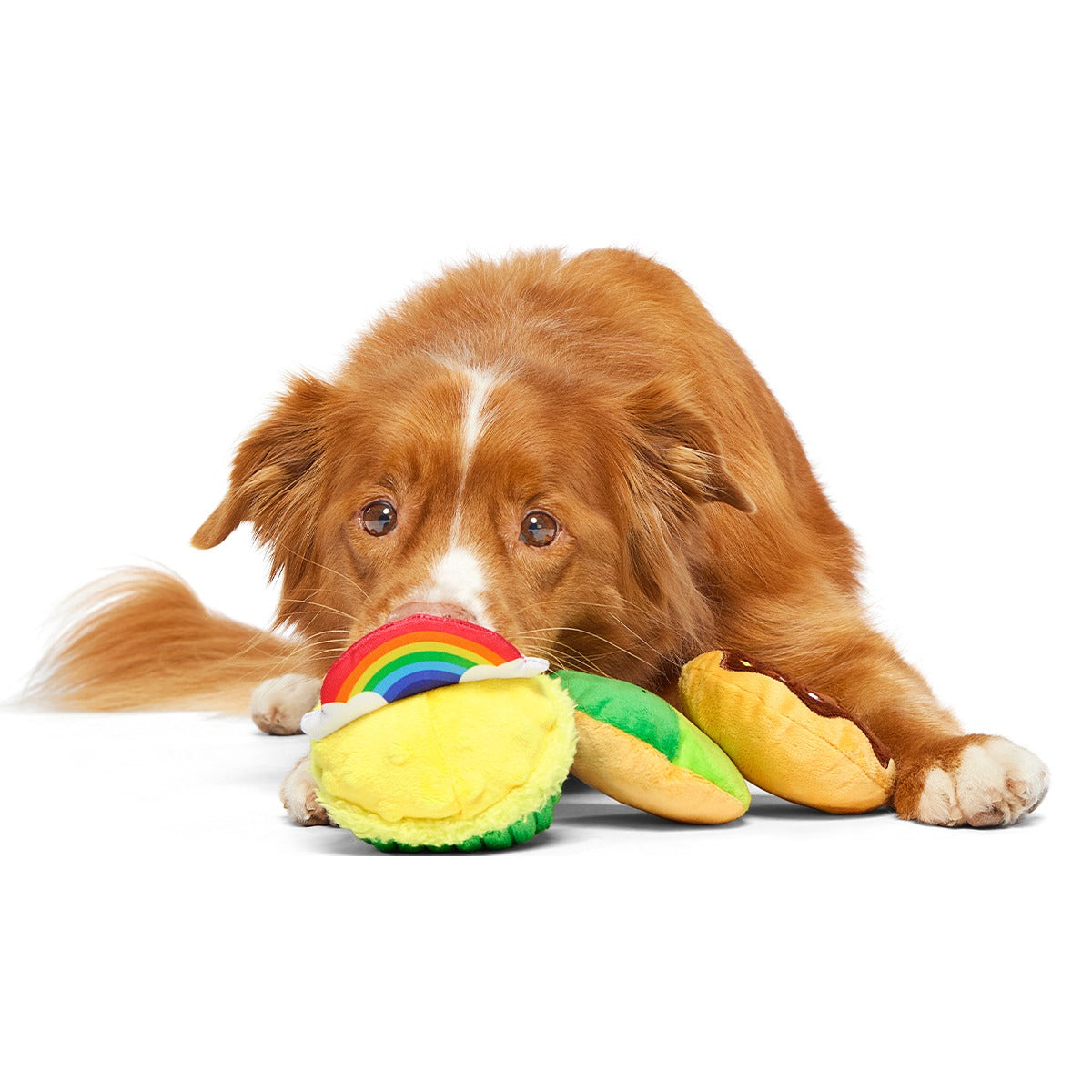 Patty Cakes Plush Multi-Part Dog Toy
