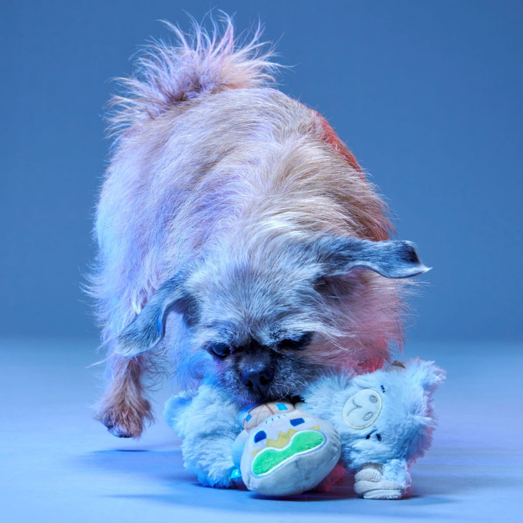 Lukewarm TauntaunTM Plush Multi-Part + Enrichment Dog Toy