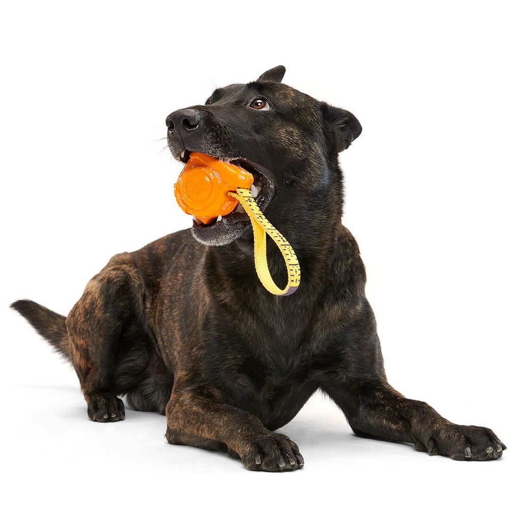 Tug Measure Super Chewer Durable Dog Toy