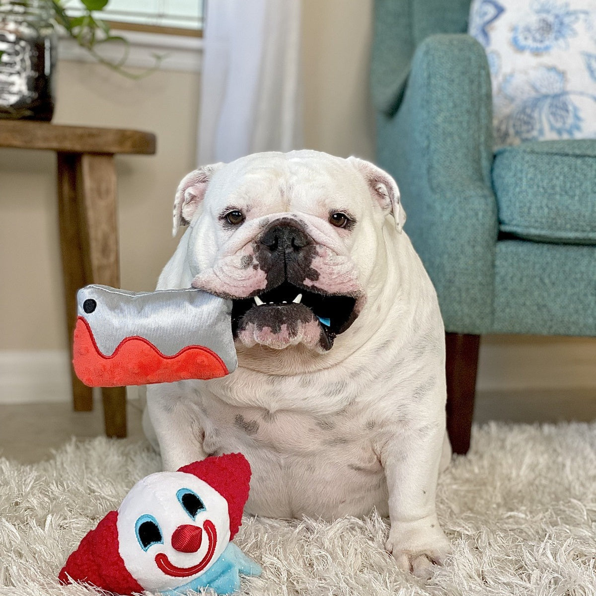 Last Laugh Bundle Plush Dog Toy