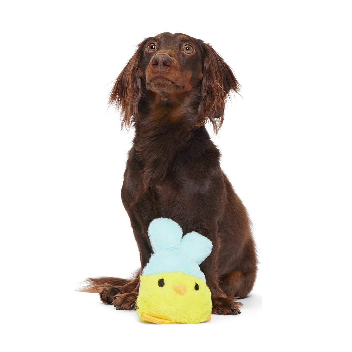 Good Hare Day Chick Super Chewer Durable 2-in-1 + Tug Dog Toy