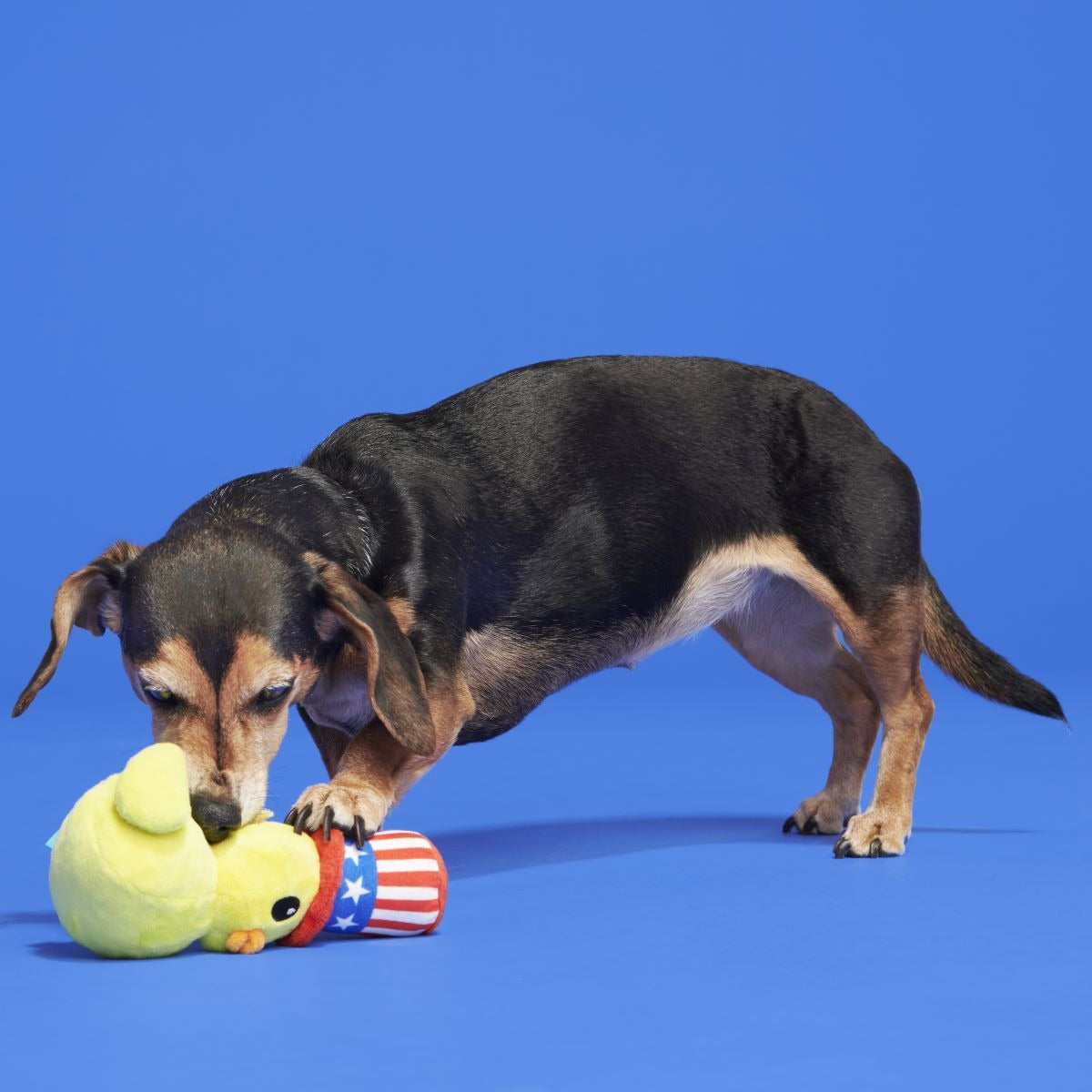 Uncle Duck Plush Dog Toy