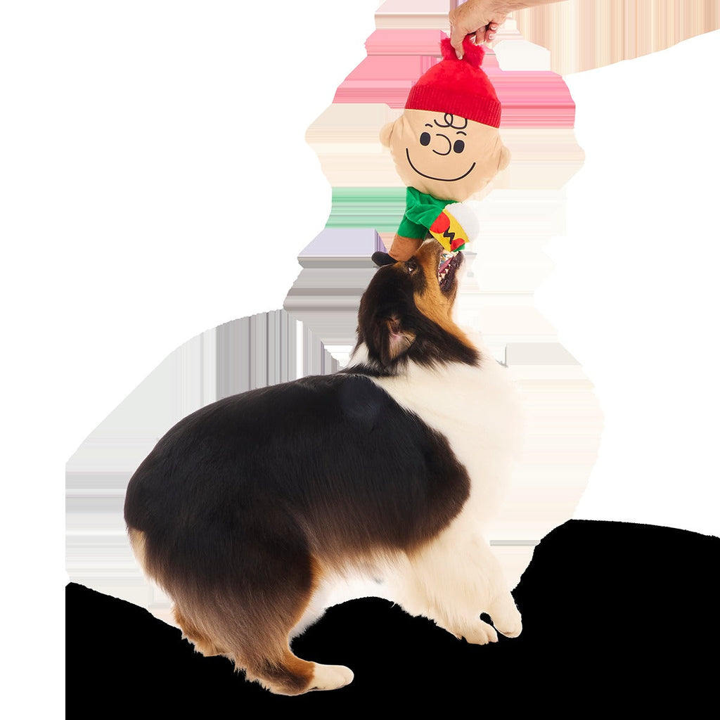Hot Chocolate Charlie Brown Plush Extra-Large + Tug Dog Toy