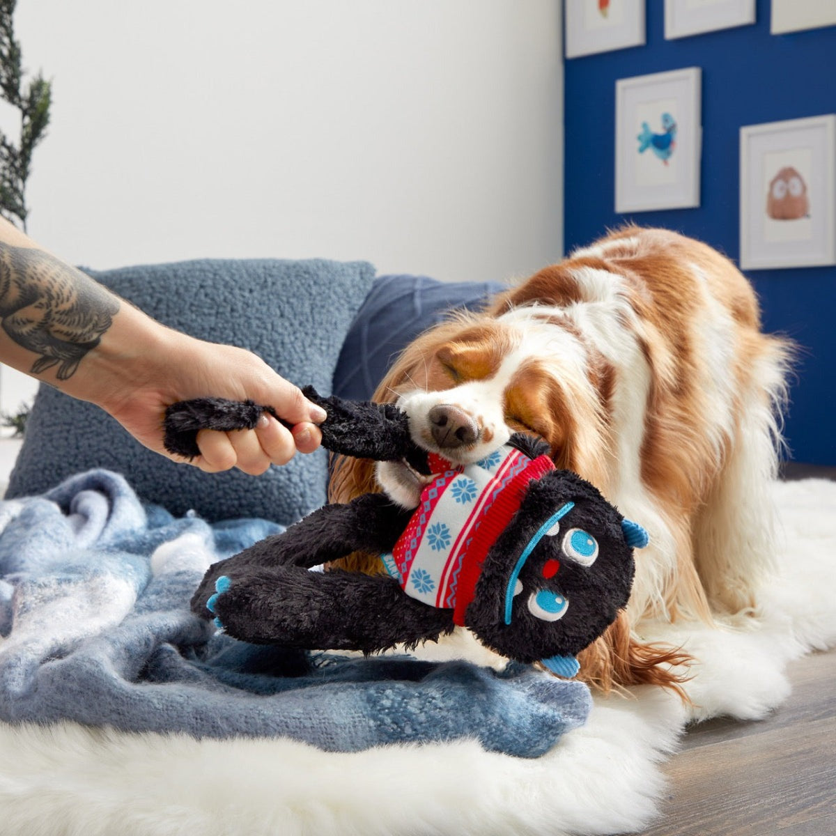 Sweaty Yeti Plush Extra-Large + Tug Dog Toy